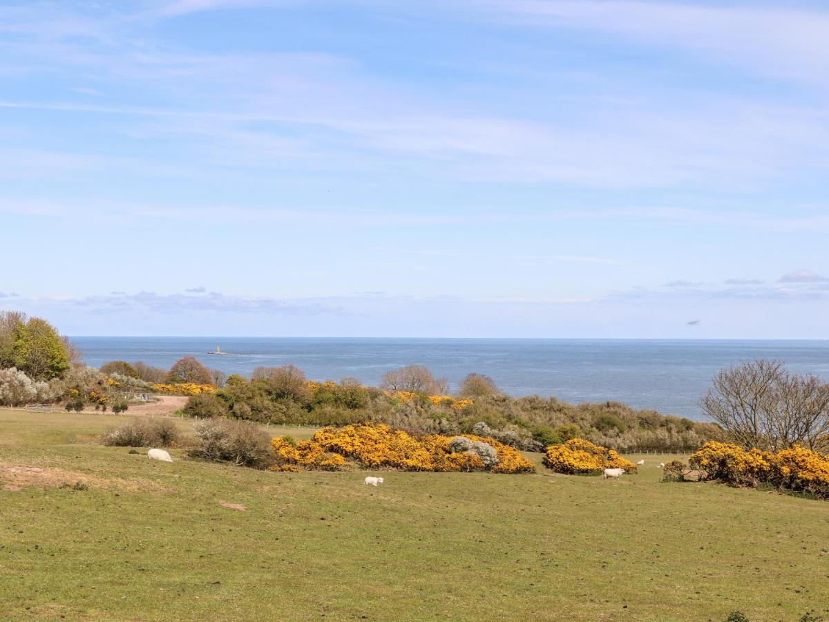 Bryn Hyfryd Caravan Penrhos-Lligwy Bagian luar foto